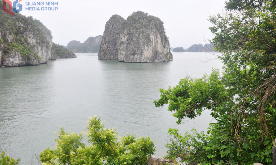 Hang Cỏ - một vùng non nước, hang động nên thơ