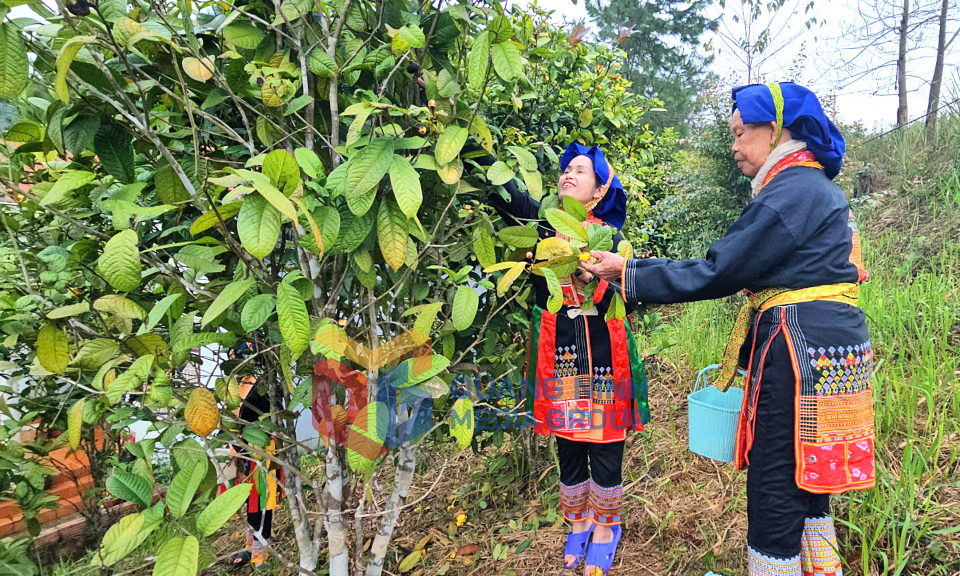 Nông thôn mới (xã Kỳ Thượng)
