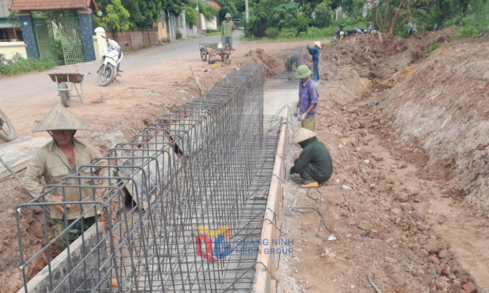 Tập trung sửa chữa, duy tu đê cấp IV