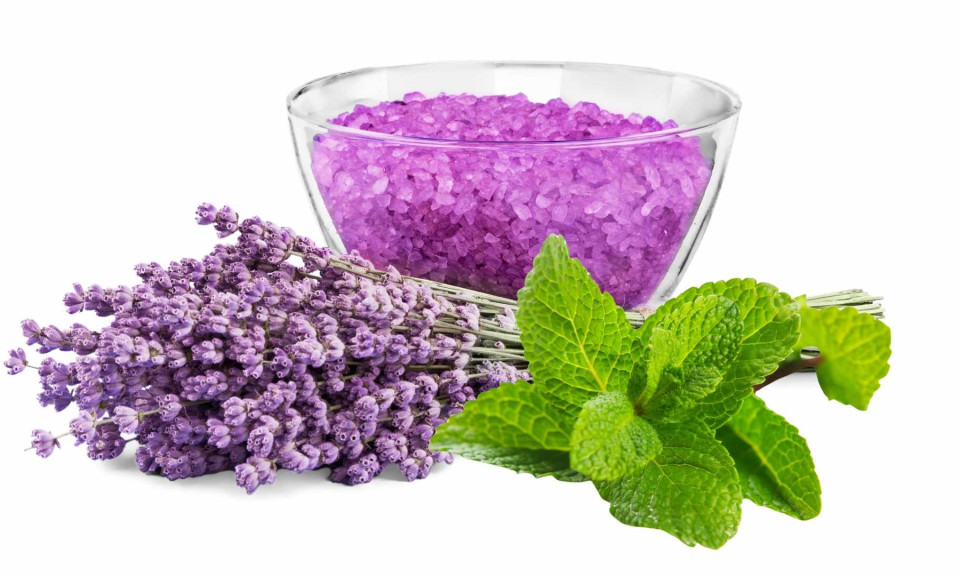 Tạm biệt gàu với dầu dưỡng tóc từ bạc hà và oải hương