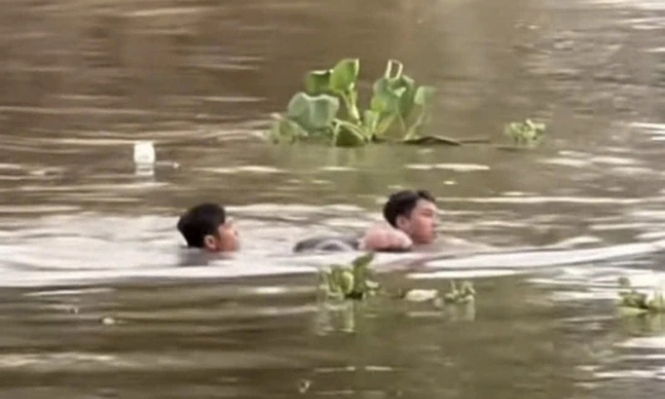 Hai thanh niên nhảy sông cứu người phụ nữ đuối nước