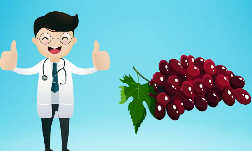 Nho đỏ - "nhà vô địch" dinh dưỡng trong họ nhà nho