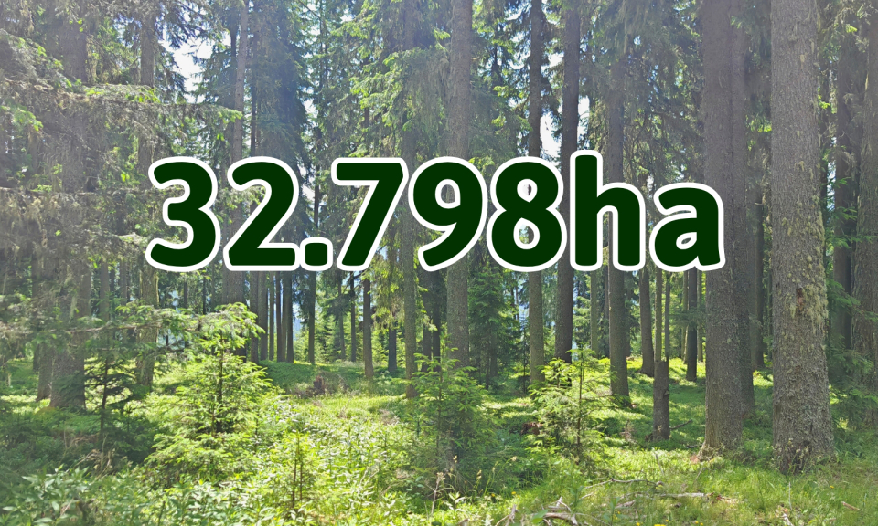 32.798ha - là diện tích trồng rừng toàn tỉnh từ đầu năm đến nay