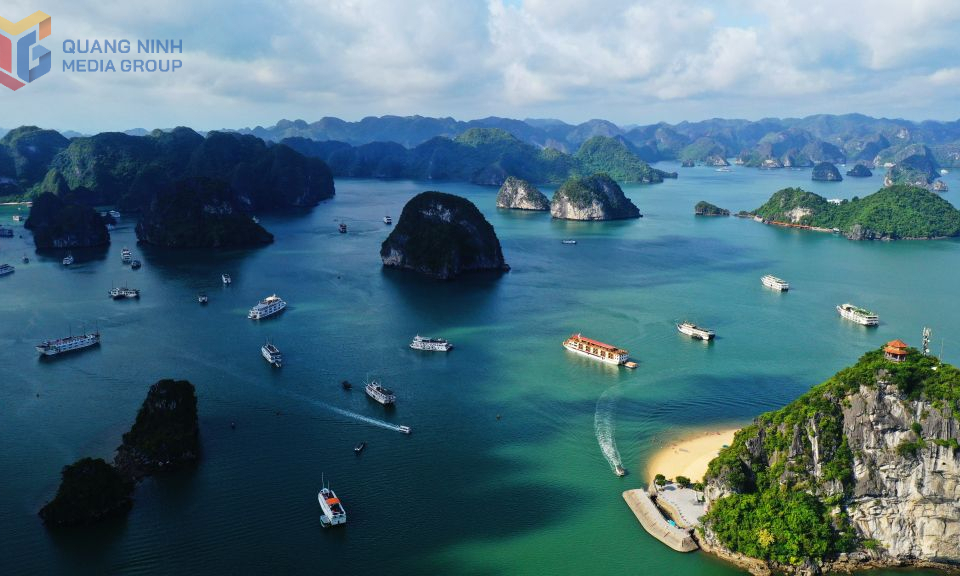 Kiên trì trên hành trình kiến tạo tương lai xanh 