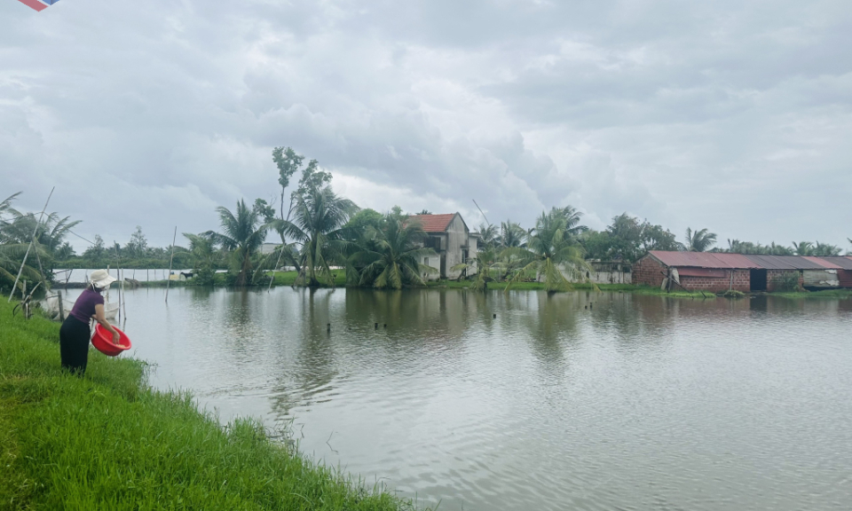 Đẩy mạnh cho vay vốn nông nghiệp, nông thôn