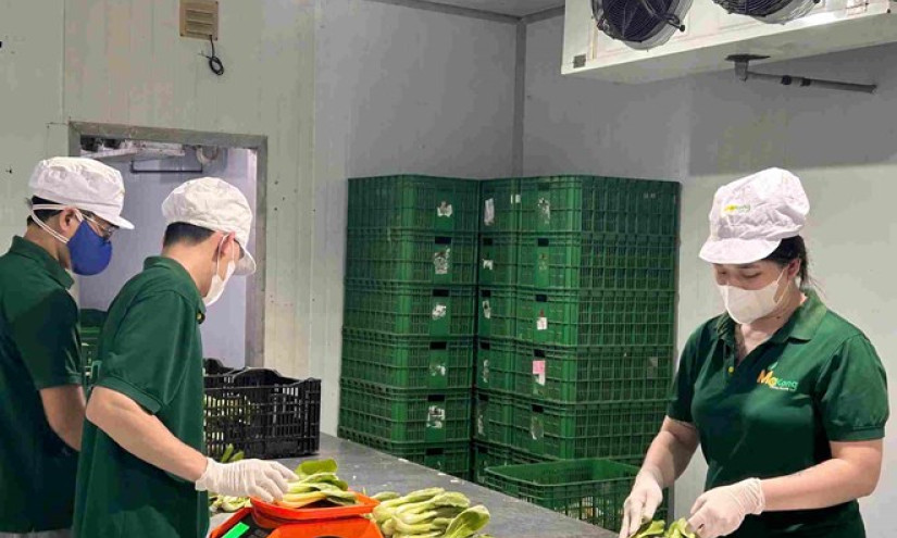 Xây dựng thương hiệu để nông sản Việt vươn xa