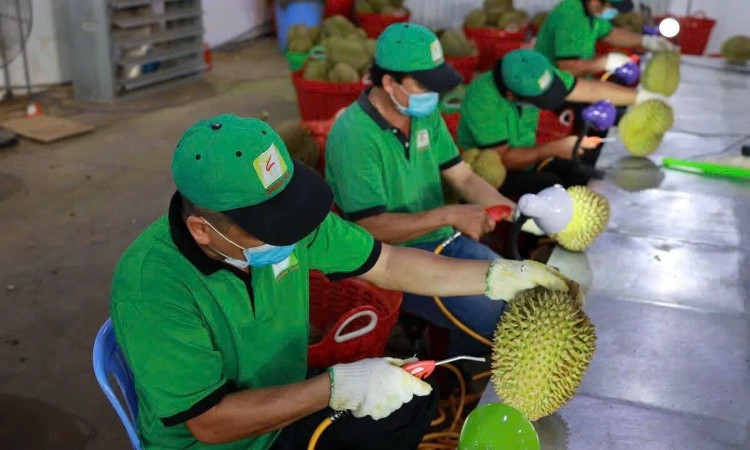 Tăng cường quản lý chất lượng nông sản xuất khẩu