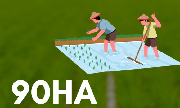 90ha - là diện tích canh tác xen lúa - rươi - cáy theo hướng hữu cơ trên toàn tỉnh hiện nay