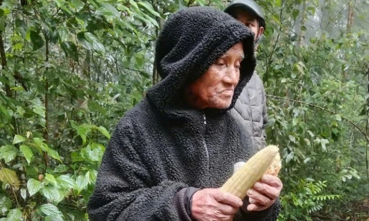 Tìm thấy cụ ông 78 tuổi lạc 7 ngày trong rừng sâu ở Đà Lạt