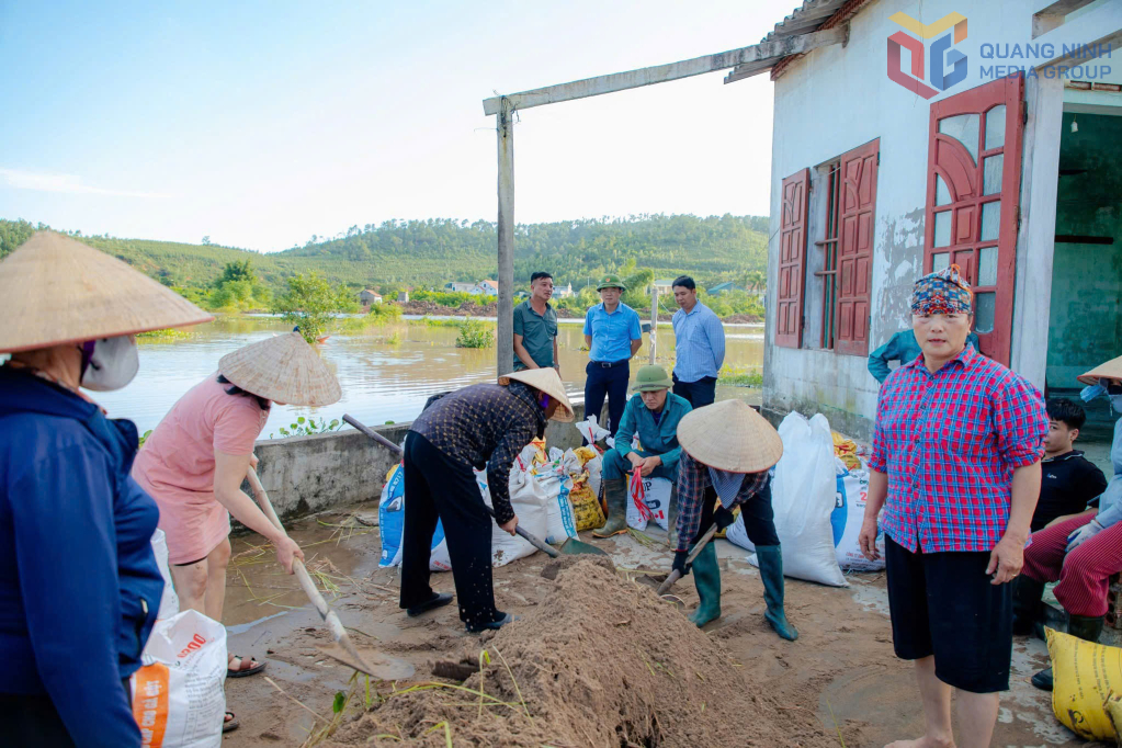 UBND phường Đông Triều đã huy động các lực lượng cùng nhân dân gia cố các điểm xung yếu.