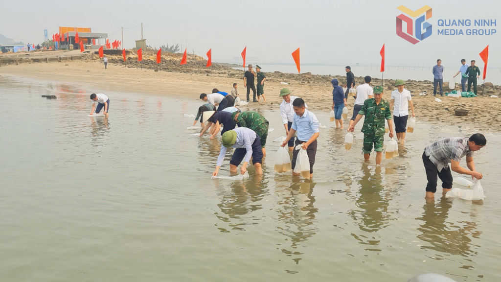 Thả giống tái tạo nguồn lợi thuỷ sản