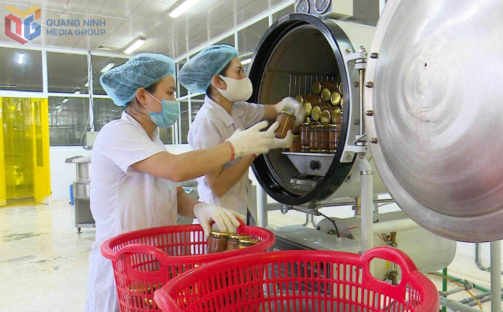 Ứng dụng KHCN trong hoạt động sản xuất tại Công ty TNHH Sản xuất và Thương mại Thủy sản Quảng Ninh.