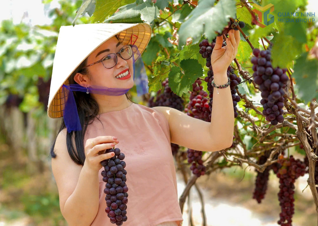 Khai thác lợi thế nông nghiệp để phát triển du lịch