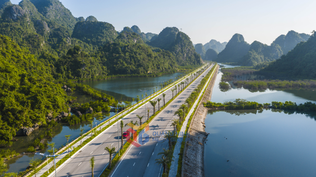 Những bãi sú xanh rì khiến tuyến đường càng thêm duyên dáng.Buổi sớm 