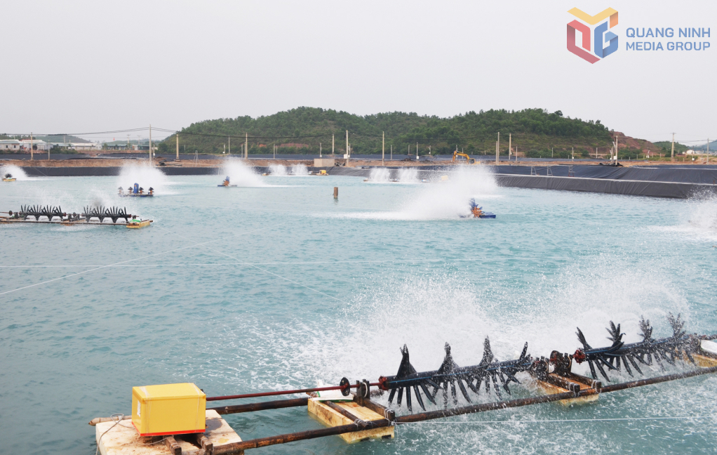 Nuôi tôm công nghệ cao ở xã Hải Lạng.