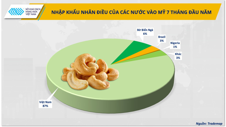 hat dieu viet nam  tu xuat khau tho den co hoi sua hat tai my