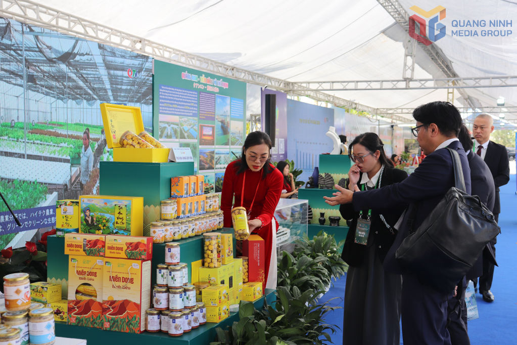 Các đại biểu tham quan gian hàng Quảng Ninh. 