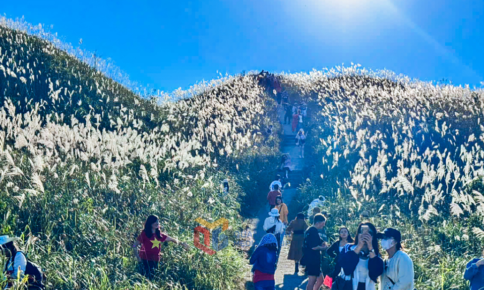 Binh Lieu in the season of white grass