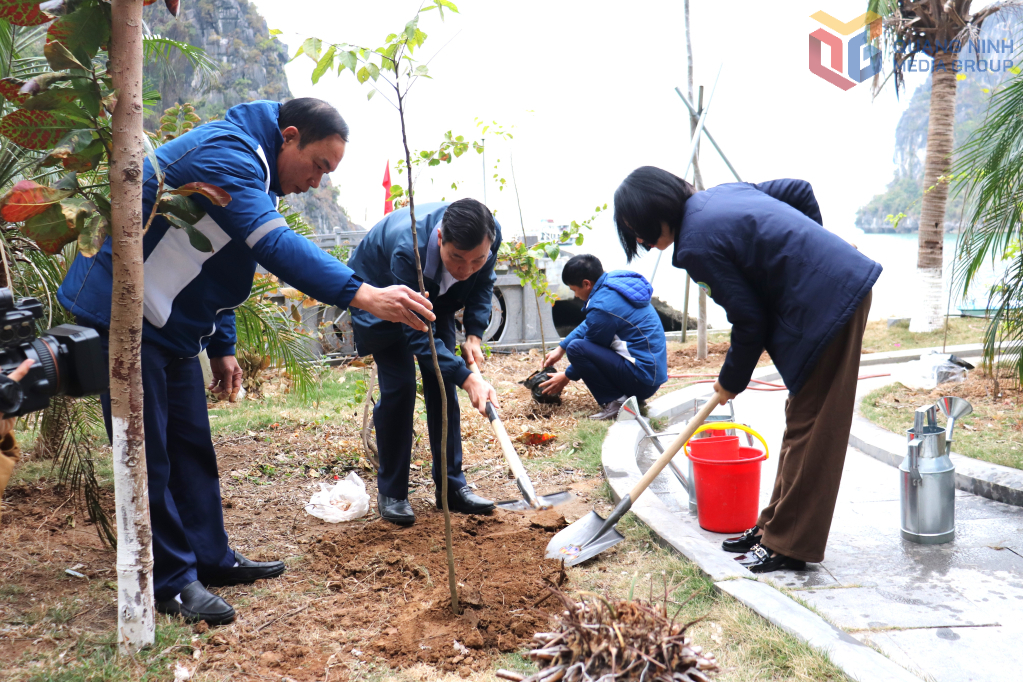 Cán bộ, nhân viên Ban Quản lý Vịnh Hạ Long trồng cây tại khu vực động Thiên Cung.