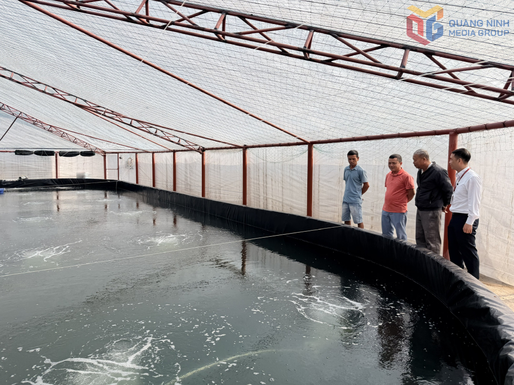 Mô hình nuôi tôm nhà lưới góp phần đóng góp tích cực cho tăng trưởng của ngành nông nghiệp.