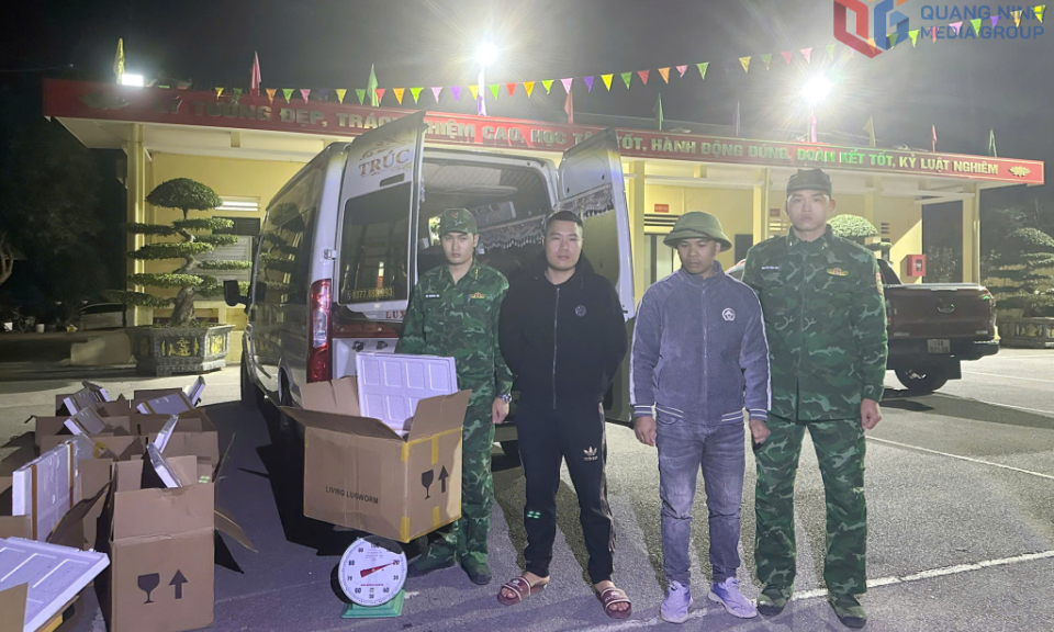 Ngăn chặn vụ vận chuyển 180kg giun biển trái phép