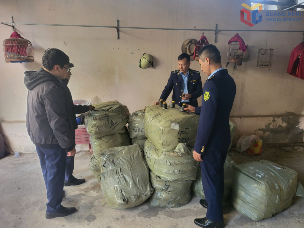 Đội QLTT số 4 bắt giữ lô hàng 4.200 lọ kẹo viên nhập lậu từ Trung Quốc tại 1 kho hàng thuộc phường Móng Cái 1 ngày 9/1/2026.