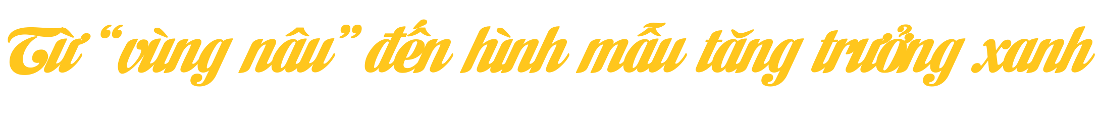 Ảnh trong văn bản