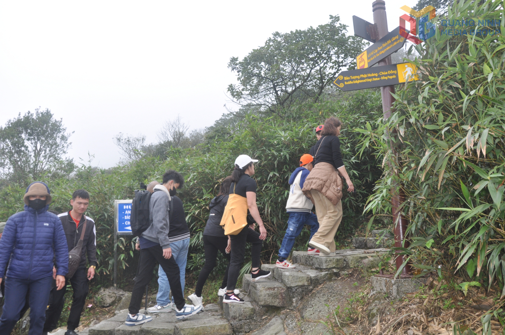 Khách hành hương về tham quan, chiêm bái đi trên các tuyến đường nằm giữa rừng quốc gia Yên Tử.