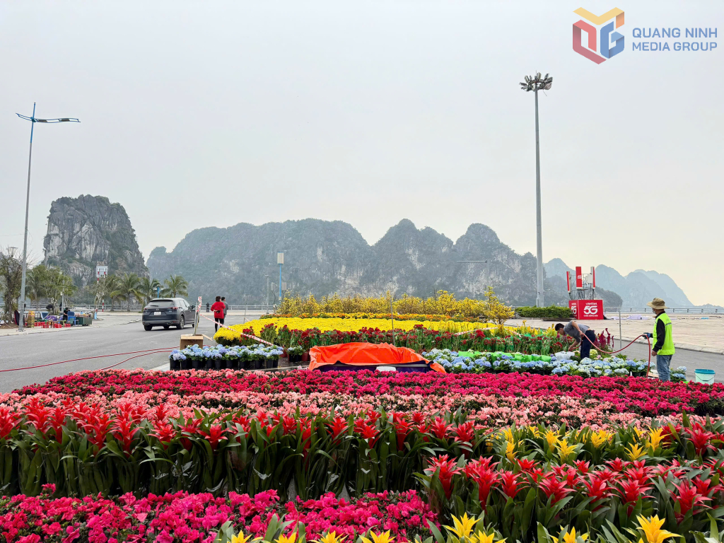 Công nhân đang khẩn trương sắp xếp không gian trang trí hoa rực rỡ. 