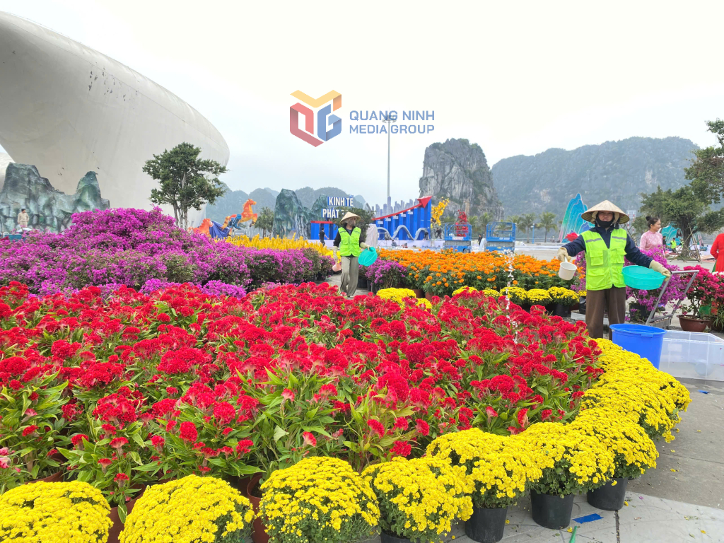 Công nhân chăm sóc hoa.