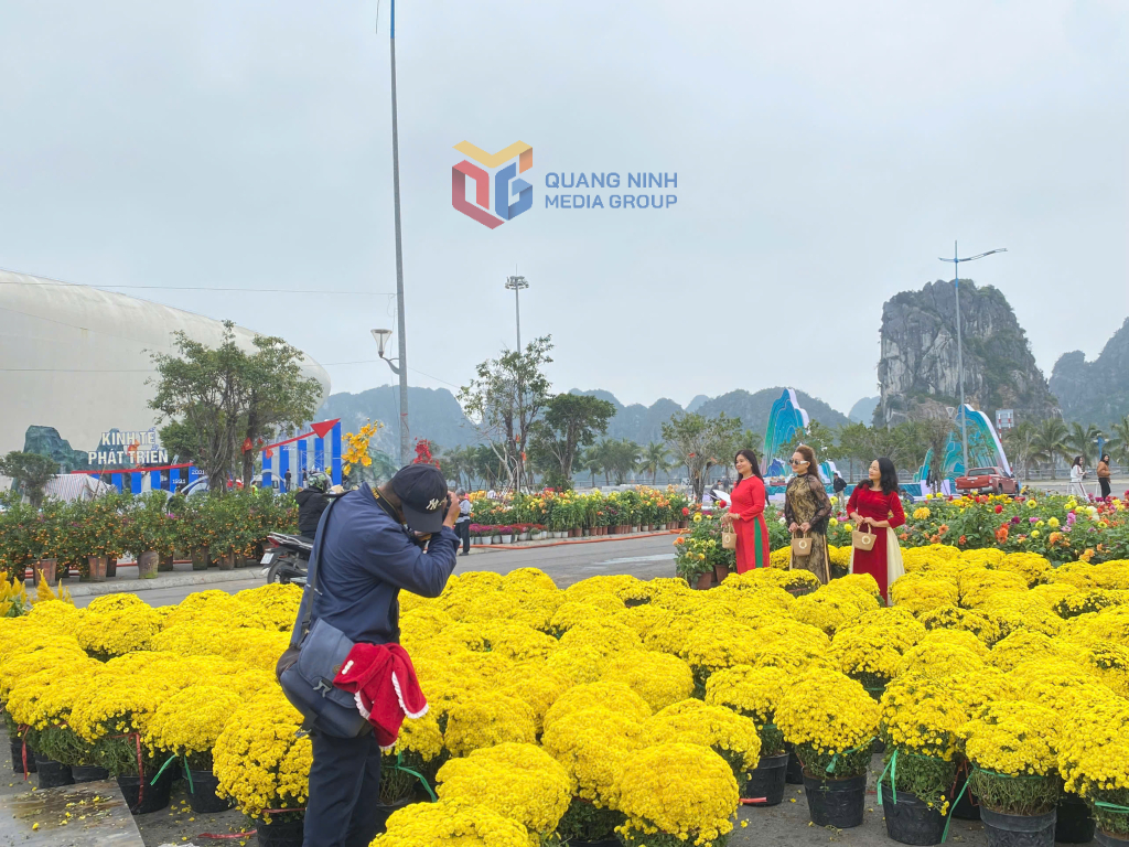 Người dân háo hức chụp ảnh bên những khóm hoa rực rỡ. 