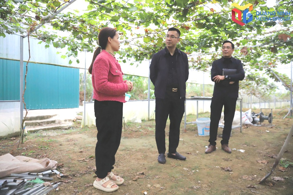 Xã Bình Liêu: Vươn lên mạnh mẽ