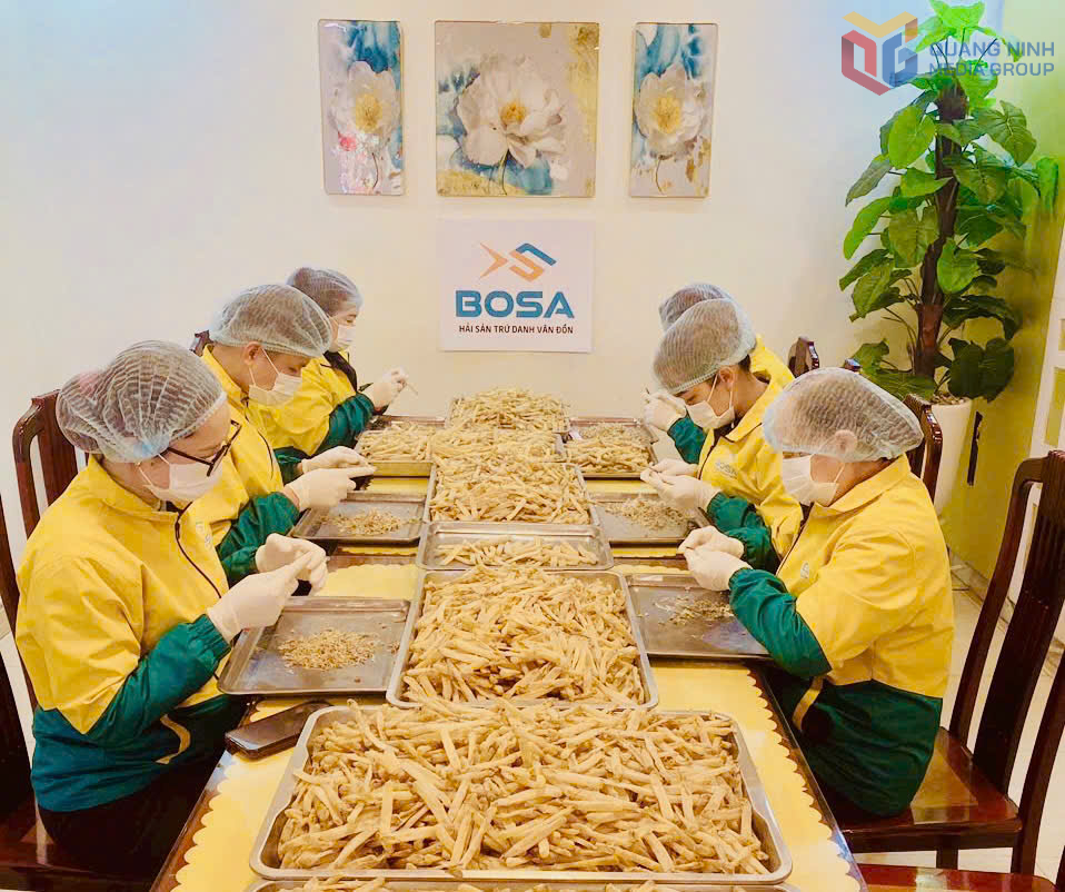 Công nhân Công ty TNHH Thanh Tùng Vân Đồn sơ chế sản phẩm sá sùng khô Vân Đồn. Ảnh: Mạnh Trường