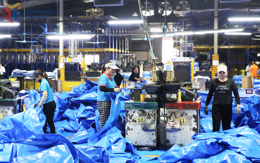 Công ty TNHH MTV Vina New Tarps, thuộc Khu công nghiệp Cái Lân.