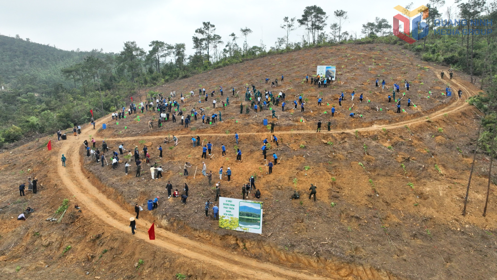 Nhân dân phường Yên Tử trồng rừng ngay sau lễ phát động.