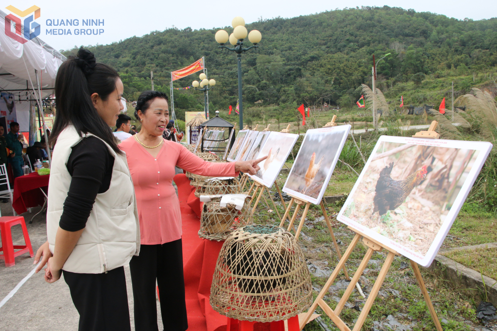 Người dân, du khách thích thú với phần thi