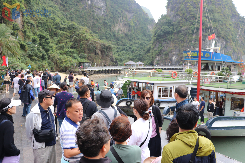 Du khách quốc tế tấp nập tham quan các đảo và hang động trên Vịnh Hạ Long.