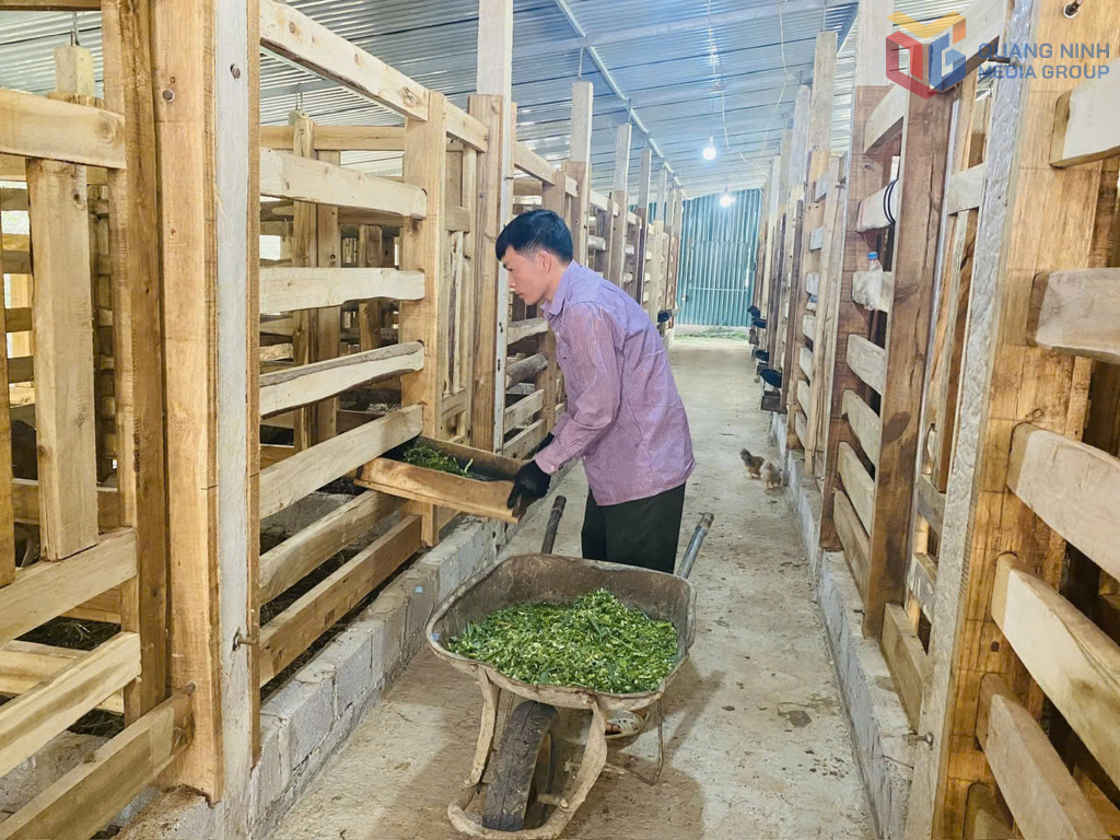 Anh Vi Văn Nghiệp, HTX Nông nghiệp và dịch vụ Nghiệp Đoàn cho hươu ăn.