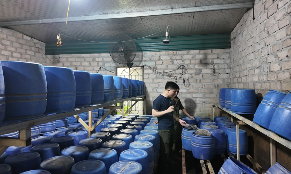 Đột k&iacute;ch h&agrave;ng loạt xưởng sản xuất gi&aacute; đỗ sử dụng chất cấm tại Quảng Ninh