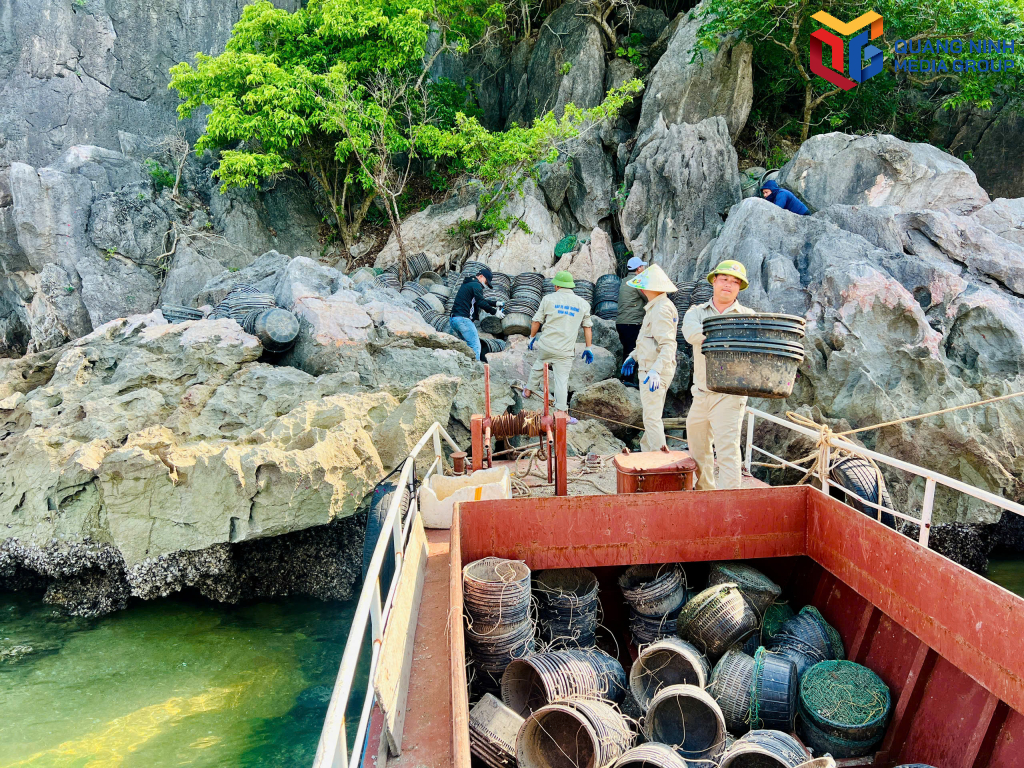 Toàn bộ số lồng bè nuôi trồng thủy sản trái phép còn tồn dư tại các đảo trên vịnh Hạ Long đều được thu gom.