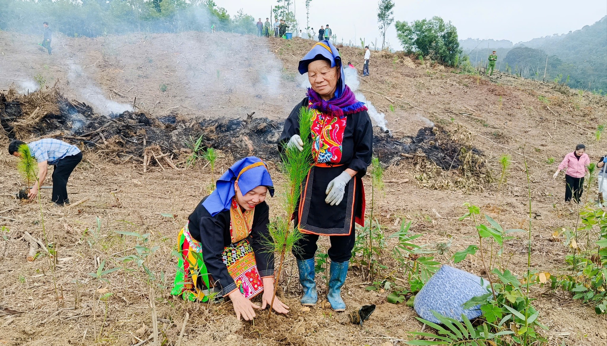 Bà con nhân dân các dân tộc trên địa bàn xã Kỳ Thượng tích cực phát triển sản xuất lâm nghiệp.