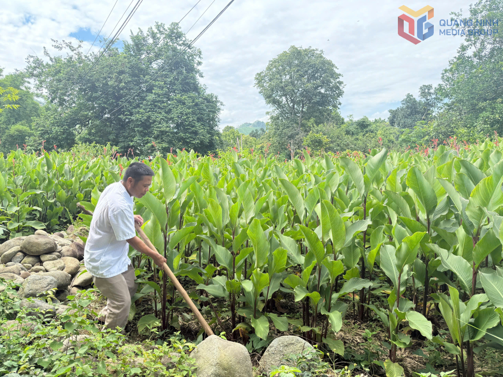 Xã Bình Liêu phát huy hiệu quả các chính sách giảm nghèo