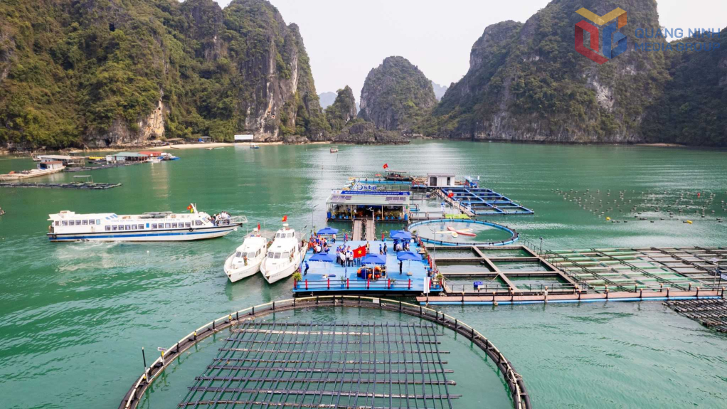 Vân Đồn sẽ thí điểm phát triển du lịch sinh thái biển đảo gắn với NTTS tại 16 vùng nuôi nhuyễn thể, cá biển và du lịch trải nghiệm đã được quy hoạch và giao vùng biển để nuôi trồng thủy sản.
