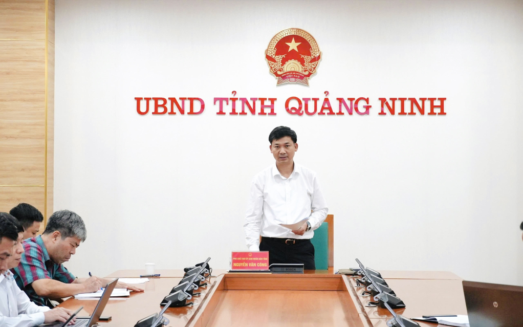 Phó Chủ tịch UBND tỉnh Nguyễn Văn Công chỉ đạo cuộc họp.