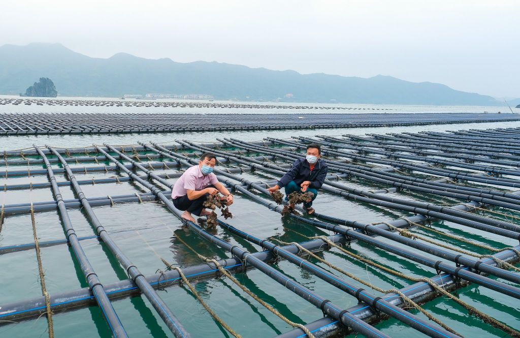 Cán bộ ngân hàng chính sách xã hội huyện Vân Đồn khảo sát nhu cầu vay vốn giải quyết việc làm của người dân xã đảo Thắng Lợi.