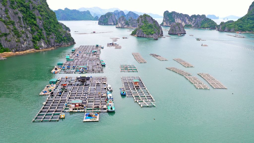 Diện tích nuôi thủy sản toàn huyện tăng 580ha và sản lượng nuôi đã tăng gấp 20 lần so với thời điểm đầu mới triển khai xây dựng NTM.