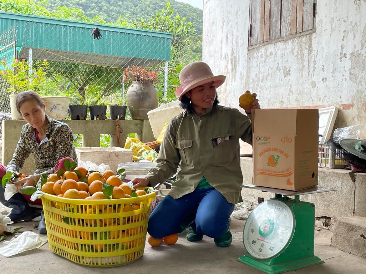 Công nhân HTX Nông trang Vạn Yên, xã Vạn Yên, huyện Vân Đồn đóng gói cam để xuất bán.